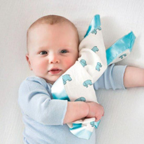 Aden + Anais ISSIE - Security Blanket - amelia - monkey