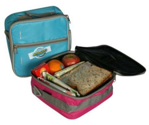Fridge To Go Small Lunchbox