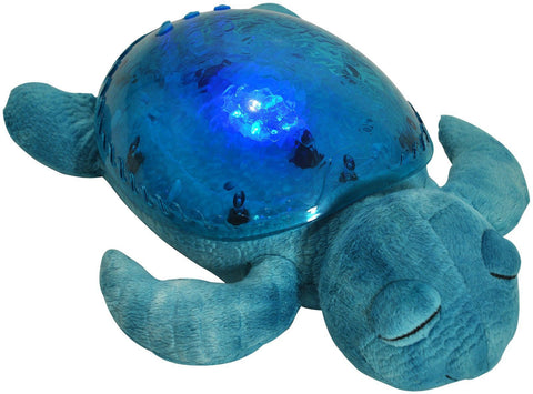 Tranquil Turtle - Aqua