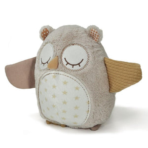 Nighty Night Owl - Smart Sensor